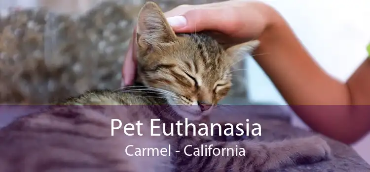 Pet Euthanasia Carmel - California