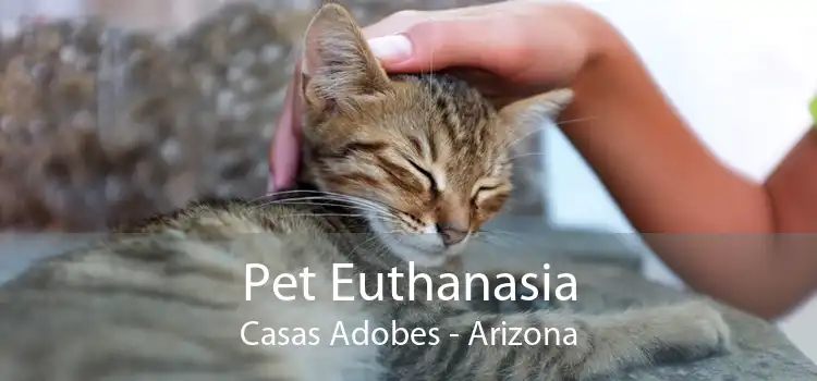 Pet Euthanasia Casas Adobes - Arizona
