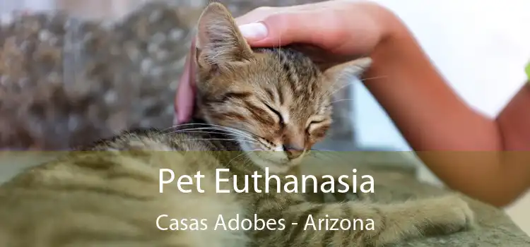 Pet Euthanasia Casas Adobes - Arizona