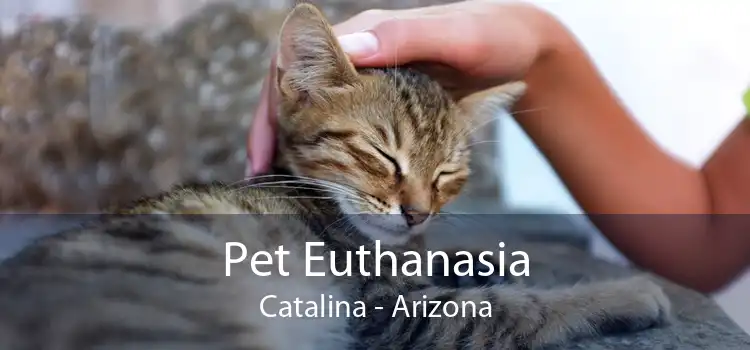 Pet Euthanasia Catalina - Arizona