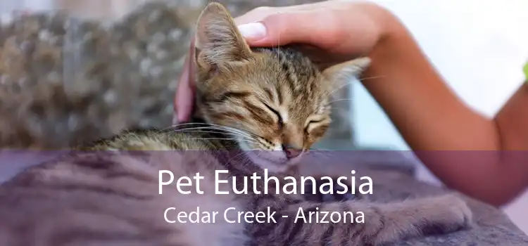Pet Euthanasia Cedar Creek - Arizona