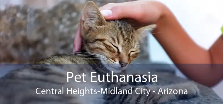 Pet Euthanasia Central Heights-Midland City - Arizona