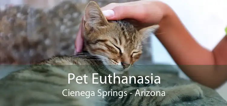 Pet Euthanasia Cienega Springs - Arizona
