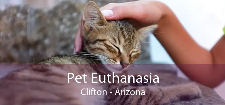 Pet Euthanasia Clifton - Arizona