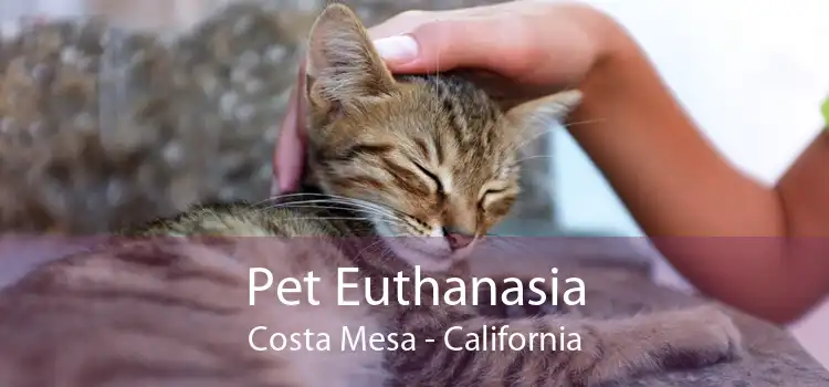 Pet Euthanasia Costa Mesa - California