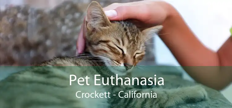 Pet Euthanasia Crockett - California