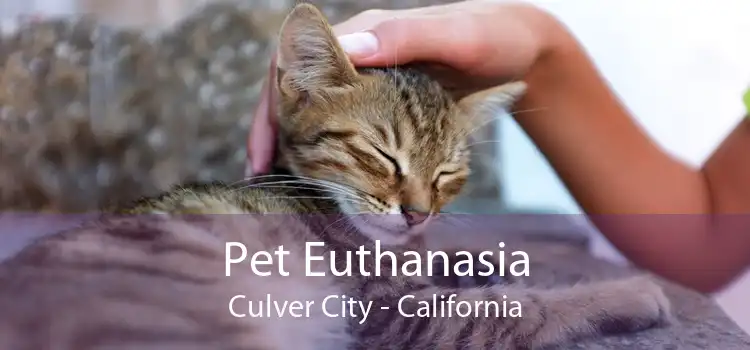 Pet Euthanasia Culver City - California