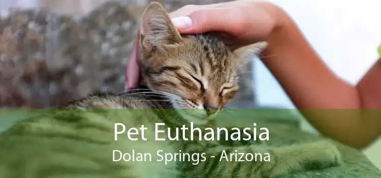Pet Euthanasia Dolan Springs - Arizona
