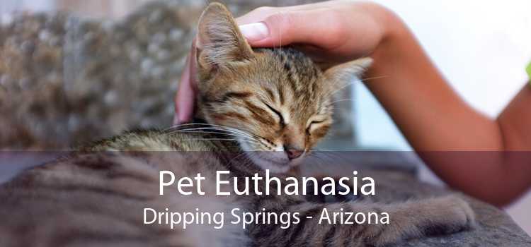 Pet Euthanasia Dripping Springs - Arizona