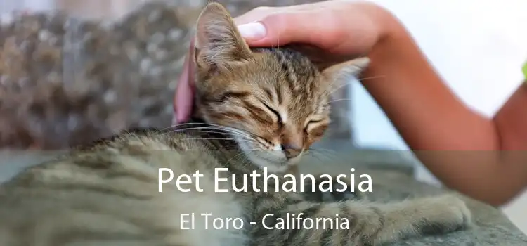 Pet Euthanasia El Toro - California