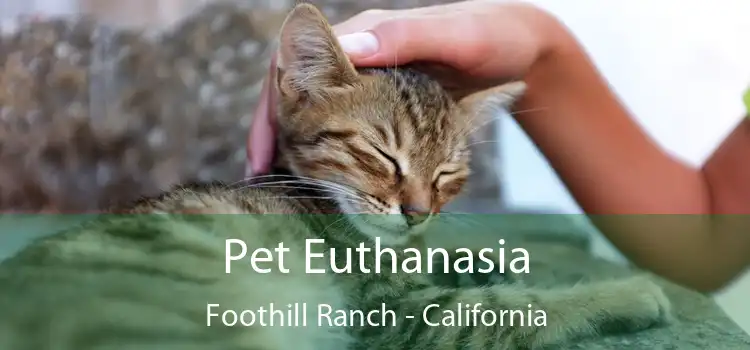 Pet Euthanasia Foothill Ranch - California