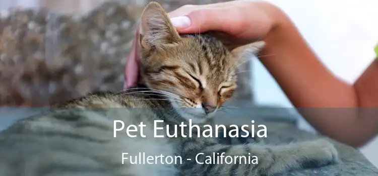 Pet Euthanasia Fullerton - California