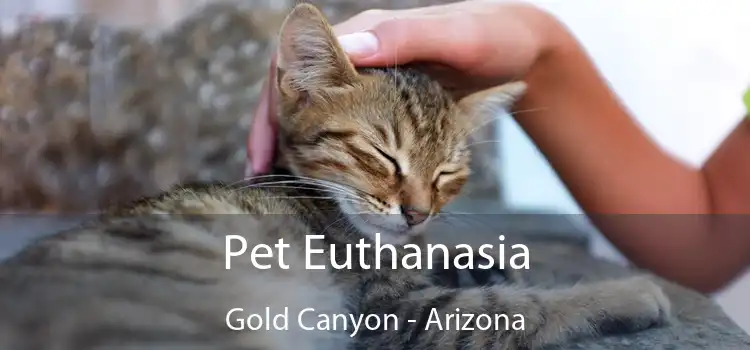 Pet Euthanasia Gold Canyon - Arizona