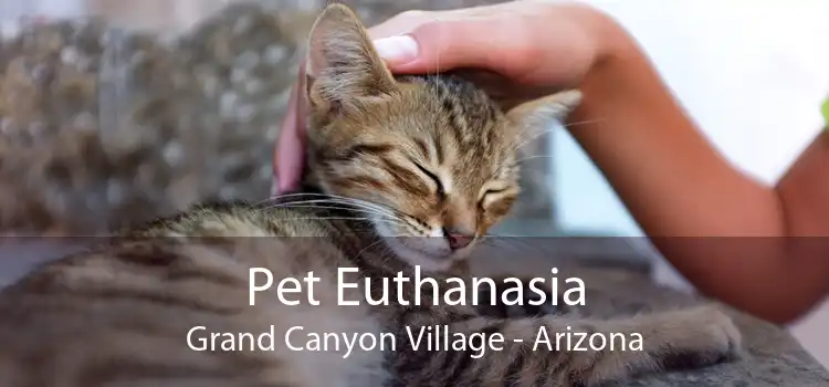 Pet Euthanasia Grand Canyon Village - Arizona