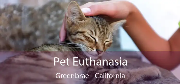 Pet Euthanasia Greenbrae - California