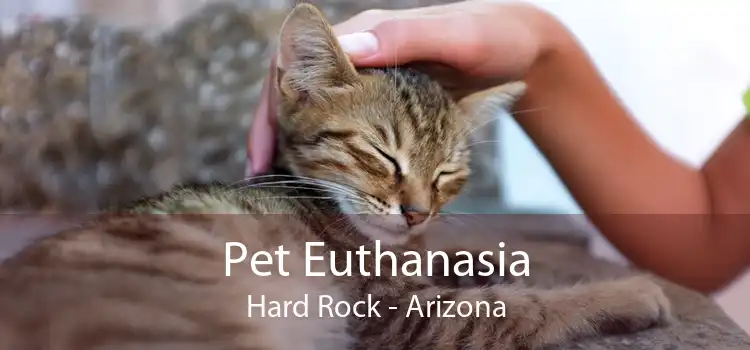 Pet Euthanasia Hard Rock - Arizona