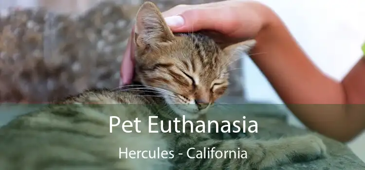Pet Euthanasia Hercules - California