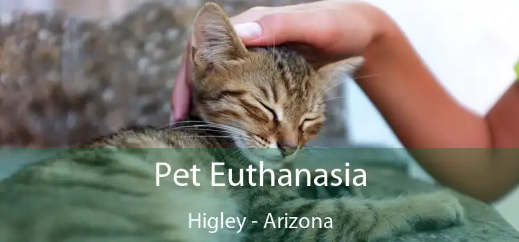 Pet Euthanasia Higley - Arizona