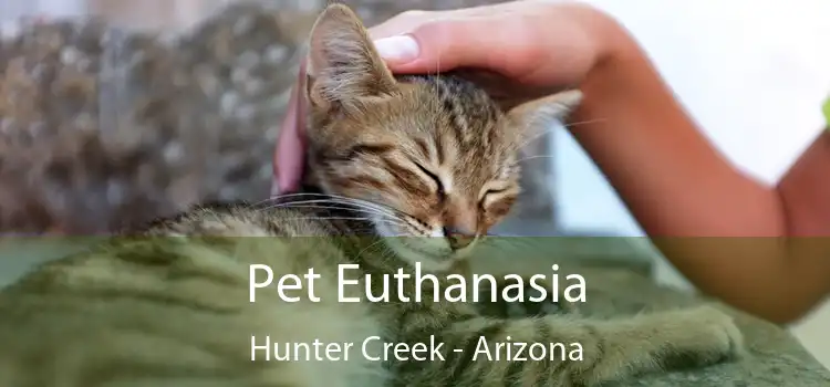 Pet Euthanasia Hunter Creek - Arizona