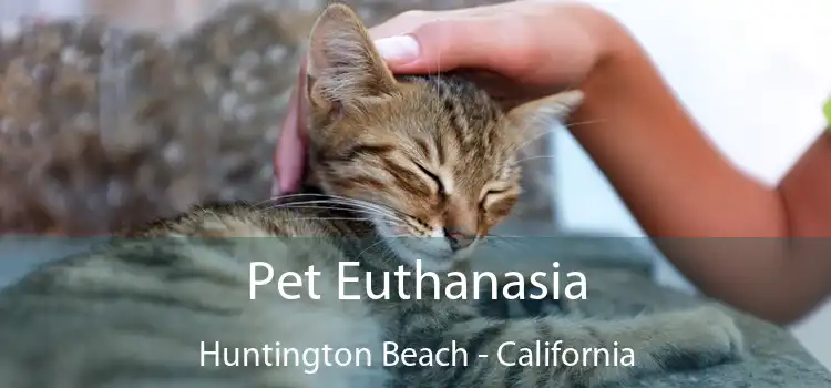 Pet Euthanasia Huntington Beach - California