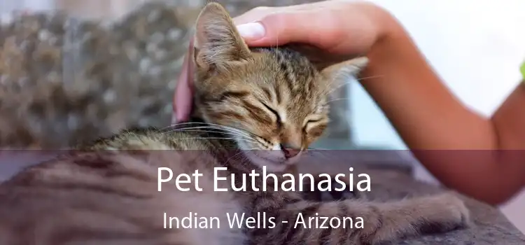 Pet Euthanasia Indian Wells - Arizona