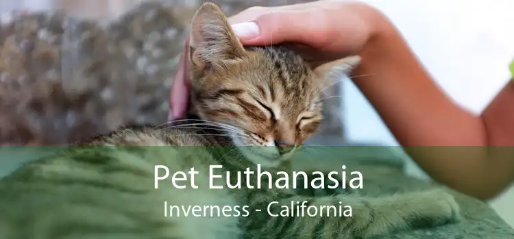 Pet Euthanasia Inverness - California