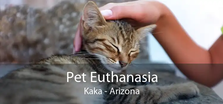Pet Euthanasia Kaka - Arizona