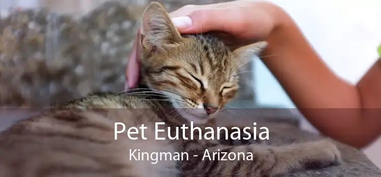 Pet Euthanasia Kingman - Arizona