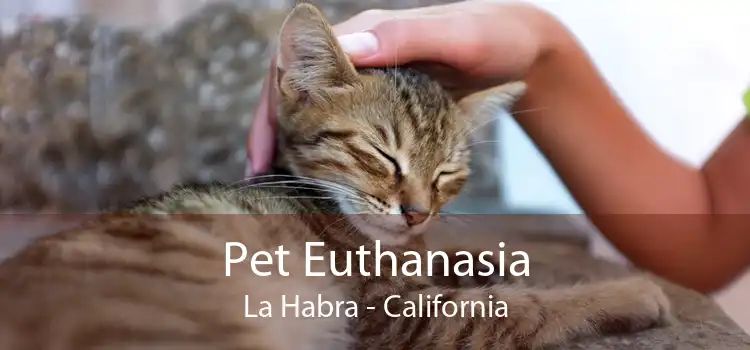 Pet Euthanasia La Habra - California