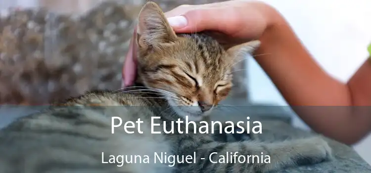 Pet Euthanasia Laguna Niguel - California