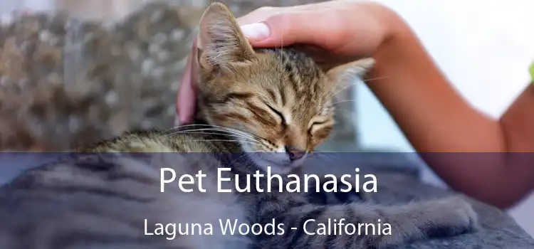 Pet Euthanasia Laguna Woods - California