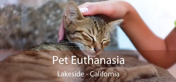 Pet Euthanasia Lakeside - California