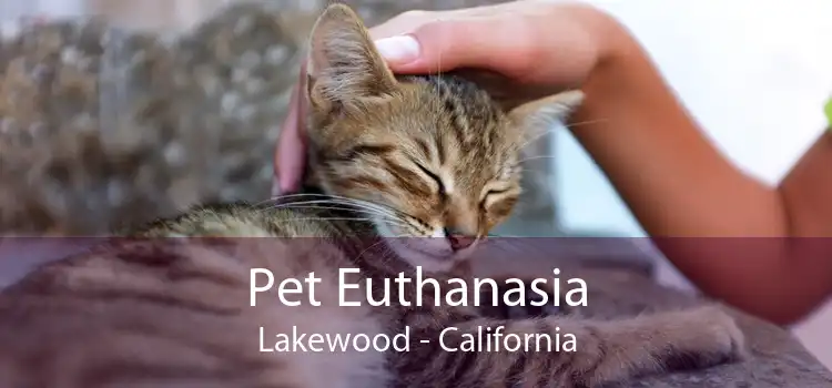 Pet Euthanasia Lakewood - California