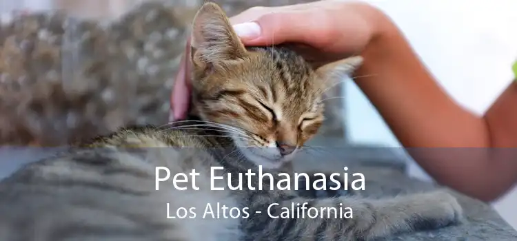 Pet Euthanasia Los Altos - California