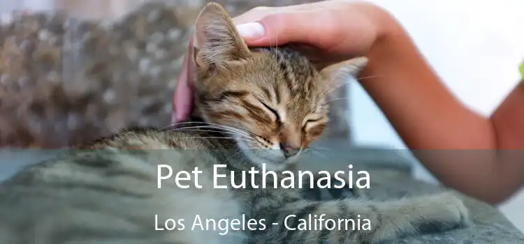 Pet Euthanasia Los Angeles - California