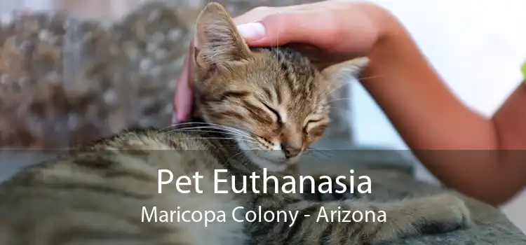 Pet Euthanasia Maricopa Colony - Arizona
