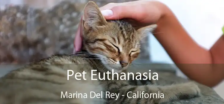 Pet Euthanasia Marina Del Rey - California