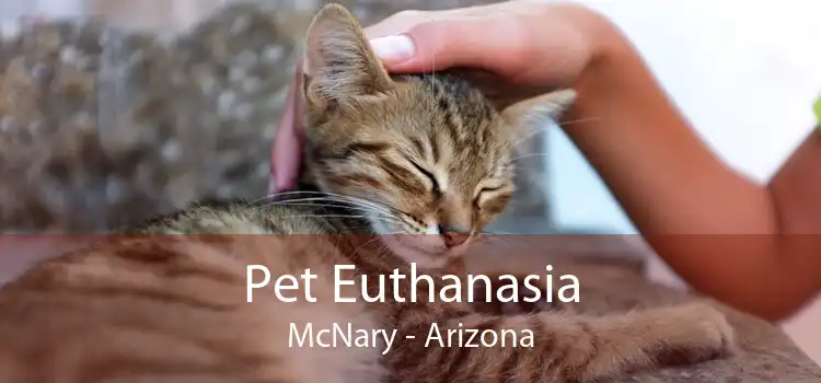 Pet Euthanasia McNary - Arizona