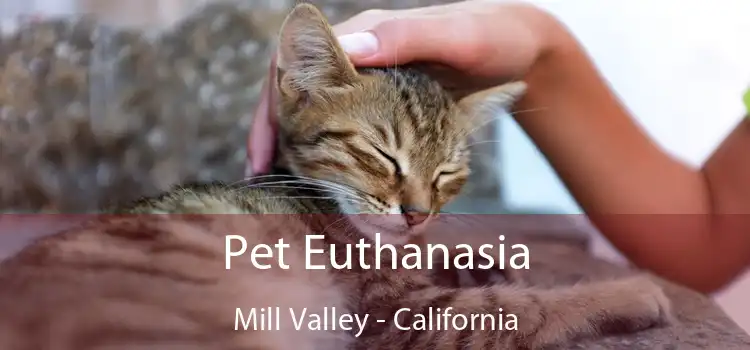 Pet Euthanasia Mill Valley - California