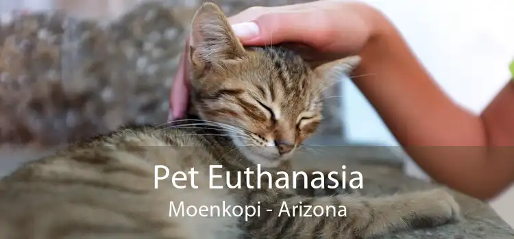 Pet Euthanasia Moenkopi - Arizona