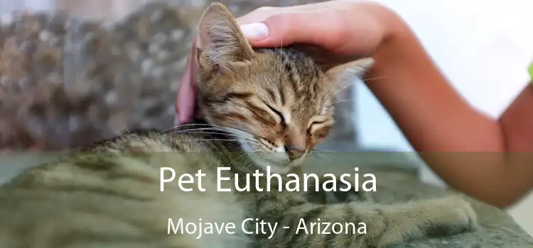 Pet Euthanasia Mojave City - Arizona