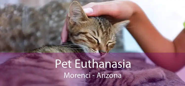 Pet Euthanasia Morenci - Arizona