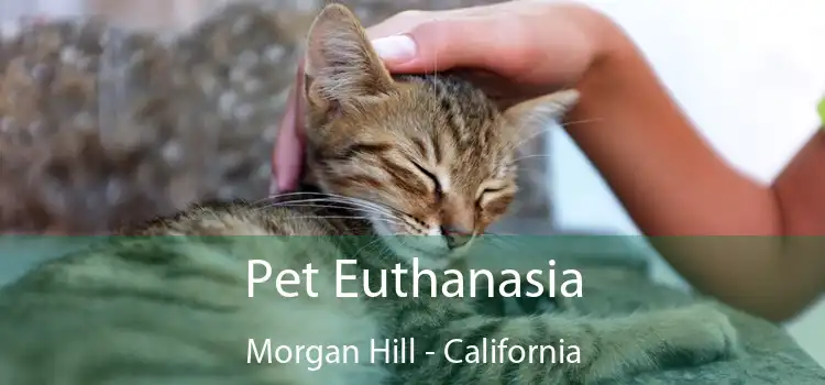 Pet Euthanasia Morgan Hill - California