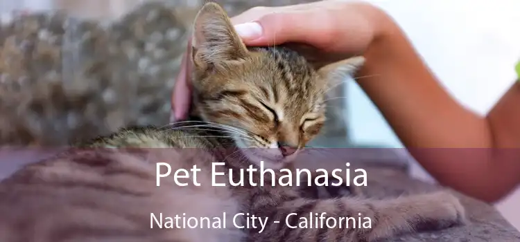 Pet Euthanasia National City - California