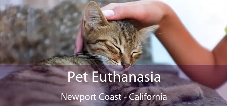 Pet Euthanasia Newport Coast - California