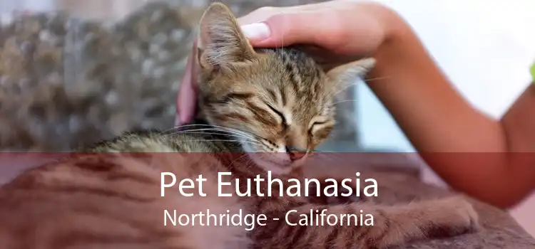 Pet Euthanasia Northridge - California