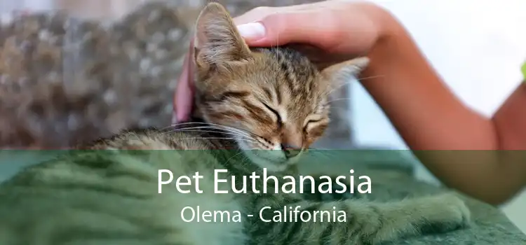Pet Euthanasia Olema - California