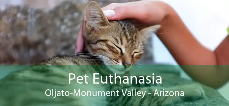 Pet Euthanasia Oljato-Monument Valley - Arizona