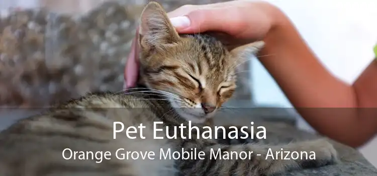 Pet Euthanasia Orange Grove Mobile Manor - Arizona