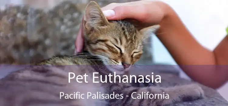 Pet Euthanasia Pacific Palisades - California